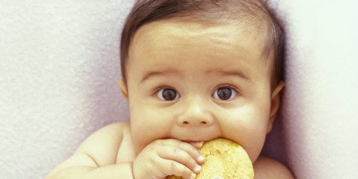 Probiotics & Prebiotics Pada Makanan Bayi