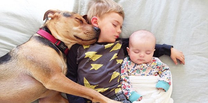 Bocah di California Tidur Siang Bersama Anjingnya