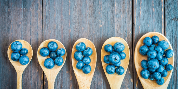 Riset Terbaru: Blueberry Dapat Cegah Baby Blues