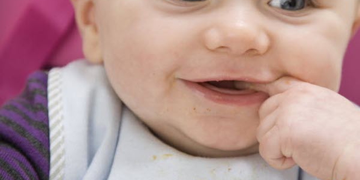 Makanan Yang Baik Untuk Si Kecil
