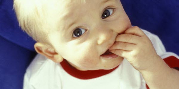 Rahasia Nutrisi Si Kecil