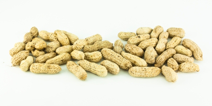 Kacang Cegah Alergi?