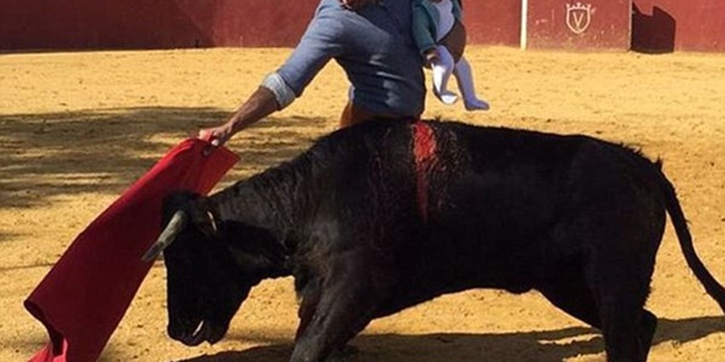 Matador Melawan Banteng Sambil Menggendong Anak