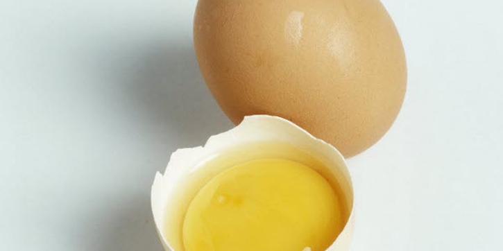 Fakta Telur