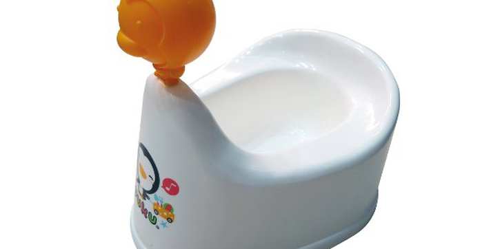 Potty Chair