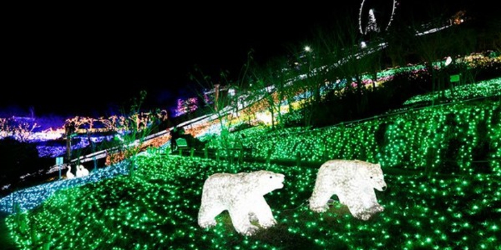 5 Destinasi Liburan Natal Seru di Asia
