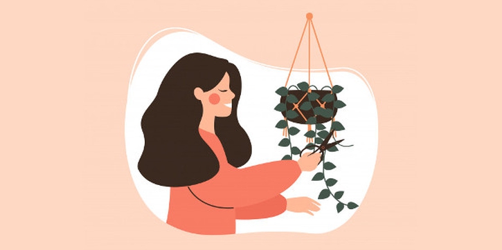 10 Cara untuk Detoks Rumah Anda