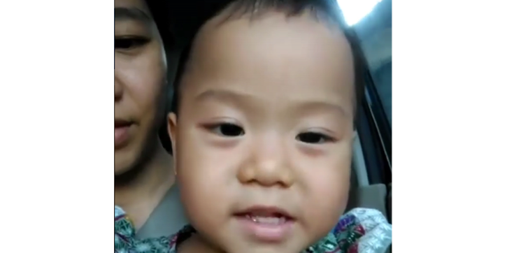 Viral: Wah! Anak 2,5 Tahun Ini Sudah Hafal Pancasila