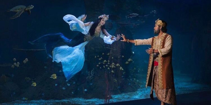 Terapkan Protokol Kesehatan, Jakarta Aquarium Buka Kembali