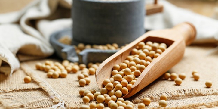 Kandungan dan Manfaat Kacang Kedelai