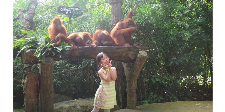 Bersafari ke Kebun Binatang di Singapura