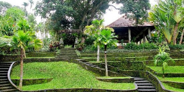 Tanah Ubud, Si 'Obat Penenang' 