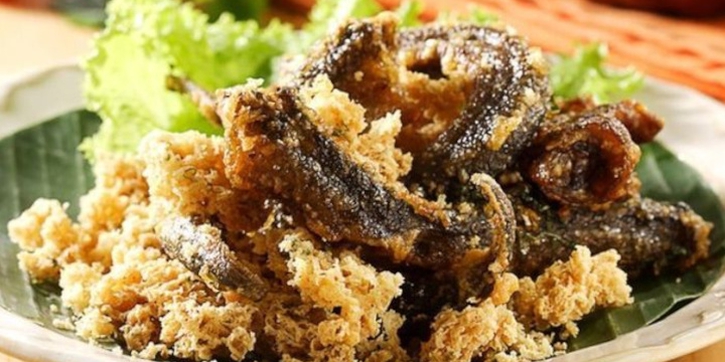 Manfaat Belut untuk Ibu Hamil dan Aturan Makannya