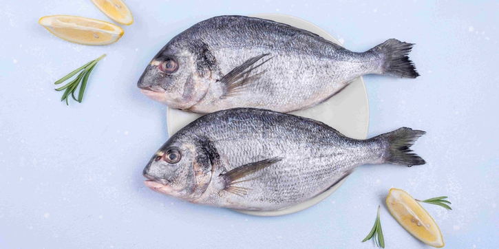 Jenis Ikan yang Tidak boleh Dimakan Setelah Operasi Caesar