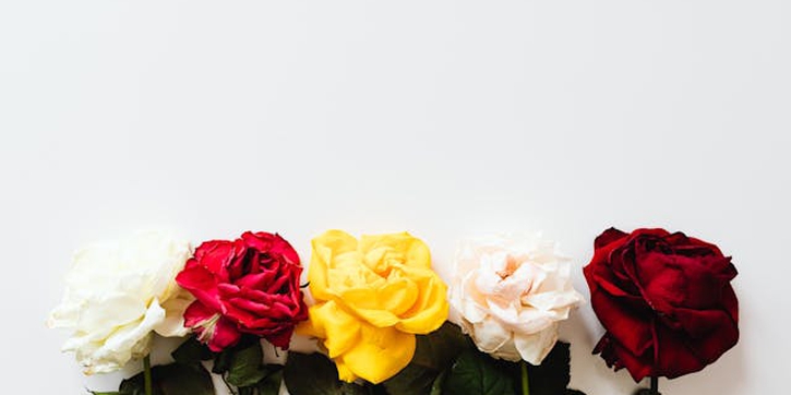 7 Arti Bunga Mawar Berdasarkan Warna, Mana yang Jadi Favorit Moms?