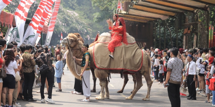 Rayakan HUT RI ke-80, Taman Safari Bogor Gelar 