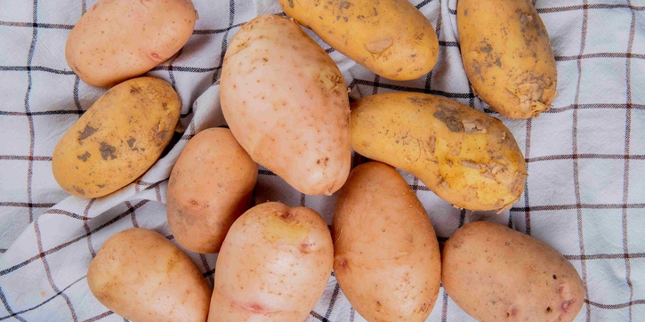 Tak Hanya Manis dan Lezat, Ini 5 Manfaat Ubi Cilembu untuk Ibu Hamil