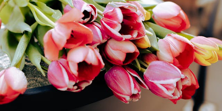 5 Arti Bunga Tulip Berdasarkan Warna, Bisa Melambangkan Cinta dan Kebahagiaan