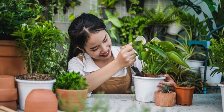 3 Langkah Membuat Taman Kecil di Rumah Anda