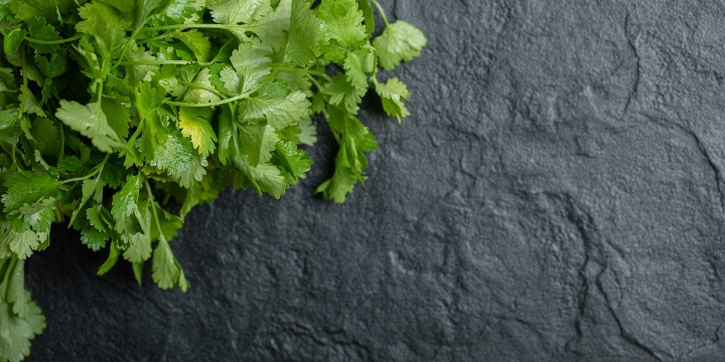 Bukan Cuma Bumbu Dapur, Ini Manfaat Daun Ketumbar untuk Kesehatan