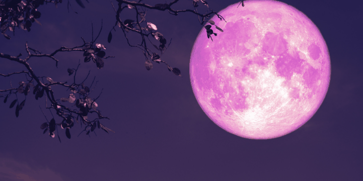 Apa Itu Pink Moon? Ini Penjelasan Ilmiah dan Dampaknya bagi Manusia