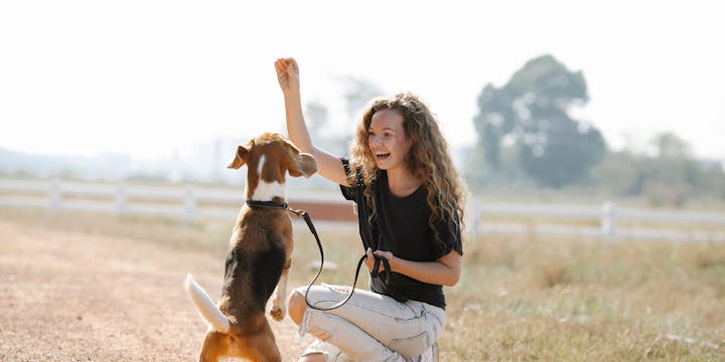 6 Cara Efektif Melatih Anjing agar Patuh Sejak Kecil
