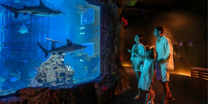 Marine Safari Bali, Tempat Rekreasi Sekaligus Edukasi Seluruh Keluarga