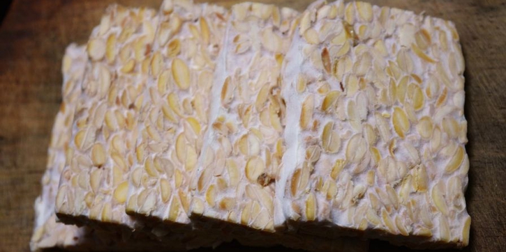Ini Jenis Jamur yang Digunakan dalam Pembuatan Tempe