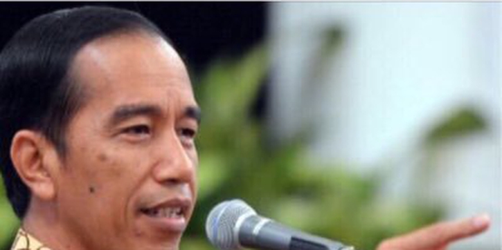 Jokowi jadi Kakek!