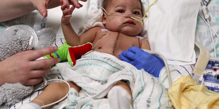 Donor Jantung yang Datang Tepat Waktu