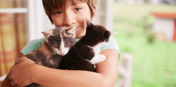 7 Alasan Anak Perlu Punya Hewan Peliharaan