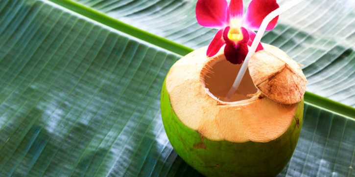 10 Manfaat Buah Kelapa untuk Kesehatan Anda