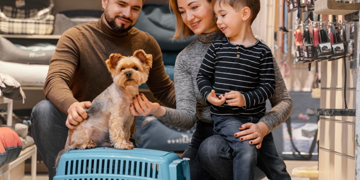 5 Rekomendasi Pet Supplies untuk Merawat Hewan Peliharaan