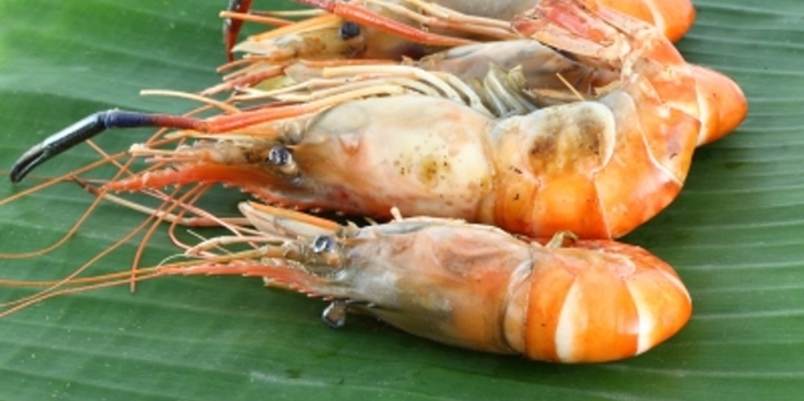 Konsumsi 'Seafood' saat Hamil