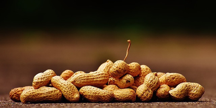 Rekomendasi Terbaru: Kenalkan Kacang Sejak Bayi