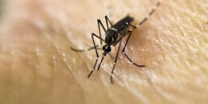 Ini Korban Pertama yang Terinfeksi Zika Lewat Seks