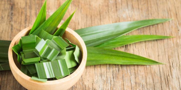 Tak Hanya Harum, Ini 8 Manfaat Daun Pandan untuk Kesehatan