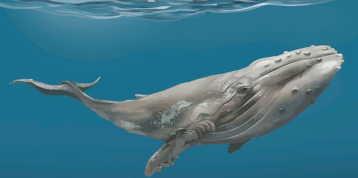 Cerita Ramadan untuk Balita: Kisah Nabi Yunus AS