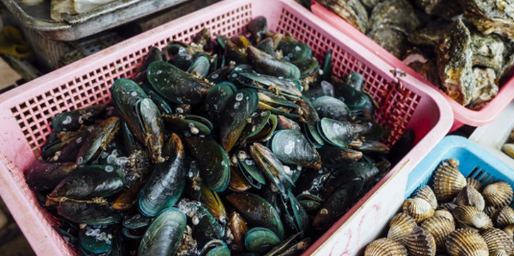 Amankah Ibu Hamil Makan Kerang? Ini Penjelasannya