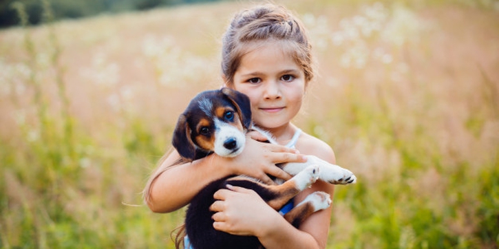 Moms, Ini Manfaat Memelihara Hewan di Rumah untuk Anak
