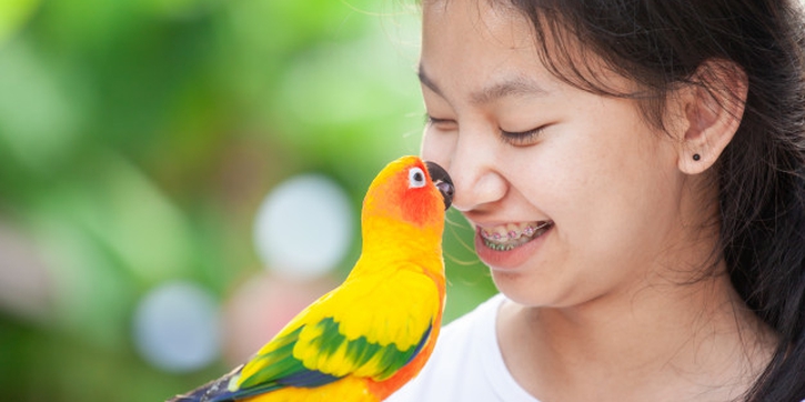 5 Manfaat Hobi Memelihara Burung untuk Kesehatan Anda