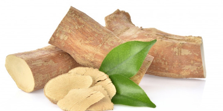 Selain Menambah Vitalitas Seks, Ini Manfaat Pasak Bumi
