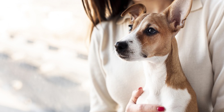 Hati-Hati Moms, Ini Risiko Memelihara Hewan saat Hamil