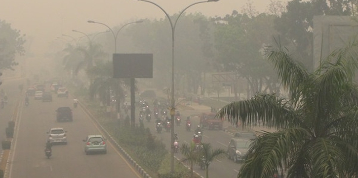 Sebaiknya Waspada! Ini Bahaya Kabut Asap buat Ibu Hamil