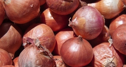 4 Manfaat Kesehatan Bawang Merah 