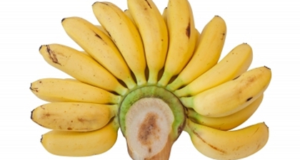 Pisang, Makanan Sehat Sperma 