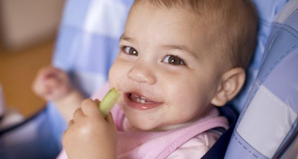 Ragam Finger Food Untuk Bayi