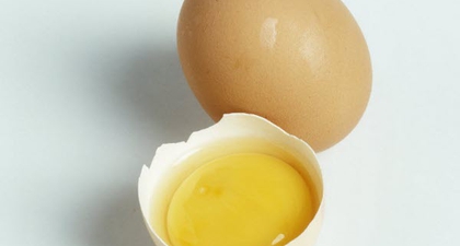 Fakta Telur
