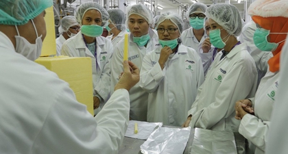 Begini Caranya Keju Olahan Diproses