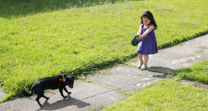 Waspadai Anak Bermain Bersama Anjing